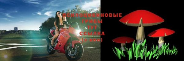 мяу мяу мука Балабаново