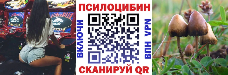hydra маркетплейс  Будённовск  Галлюциногенные грибы MAGIC MUSHROOMS  цены наркотик 