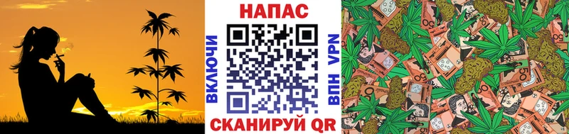 Бошки Шишки планчик  ссылка на мегу сайт  Будённовск 
